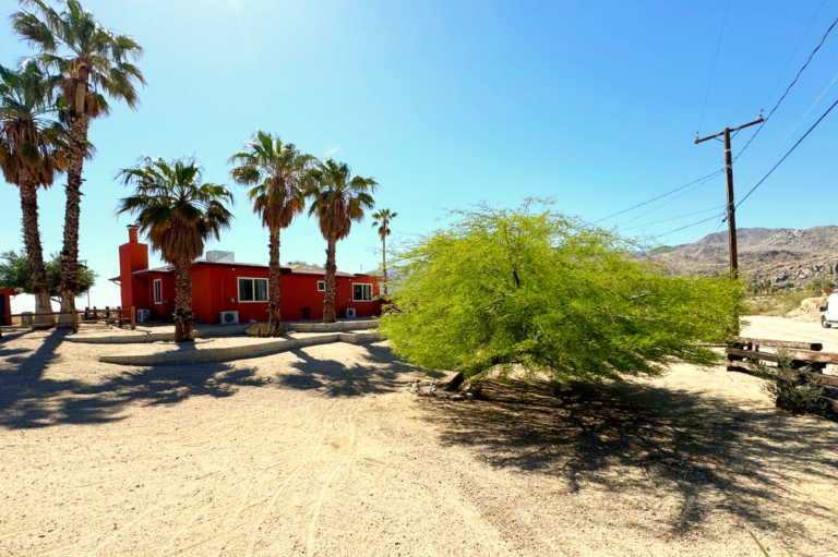 Harmonic House Ground View