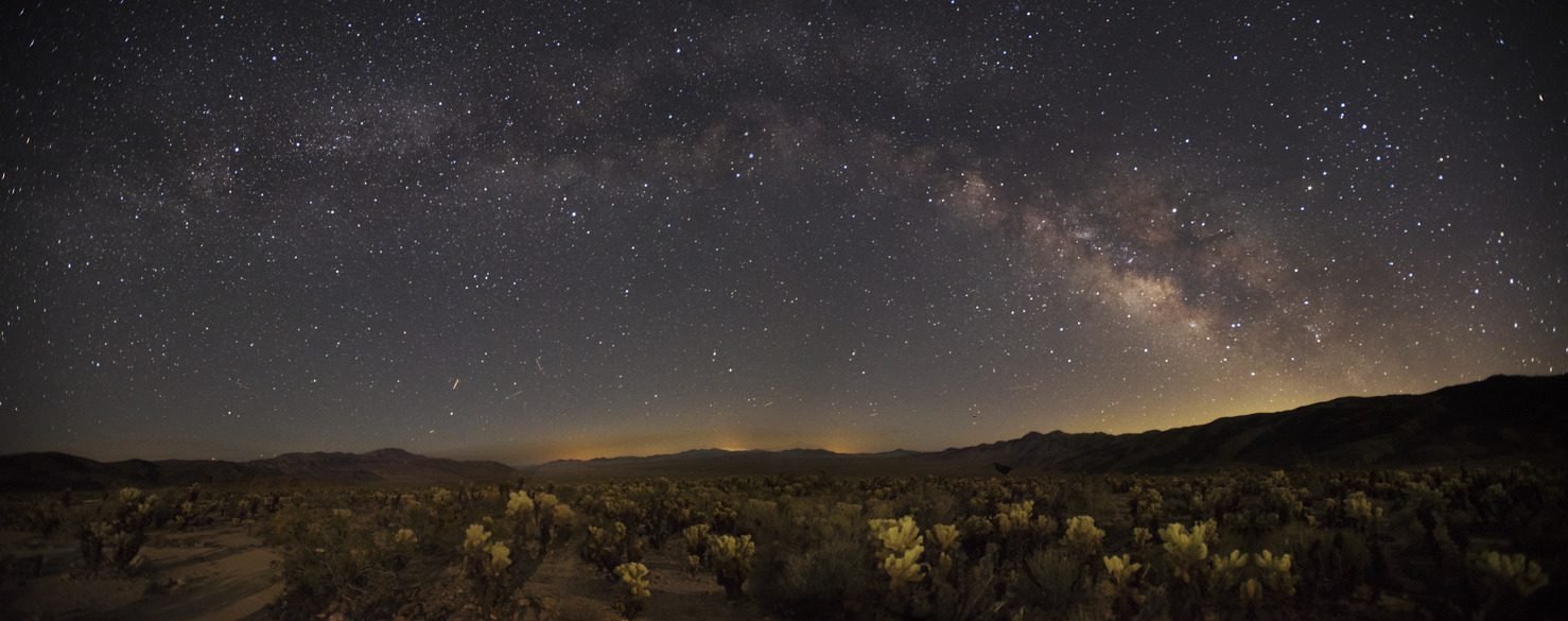 Milky Way over Joshua Tree
