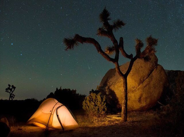 Star Gazing Joshua Tree